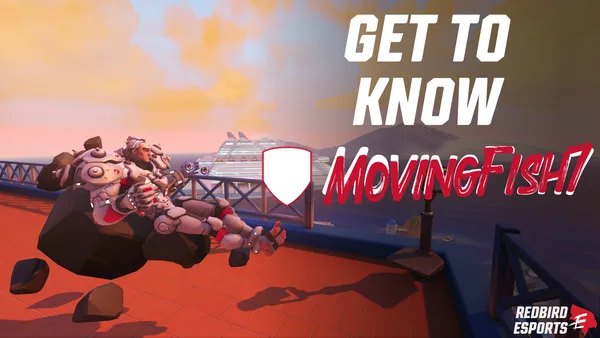 Get to Know MovingFish